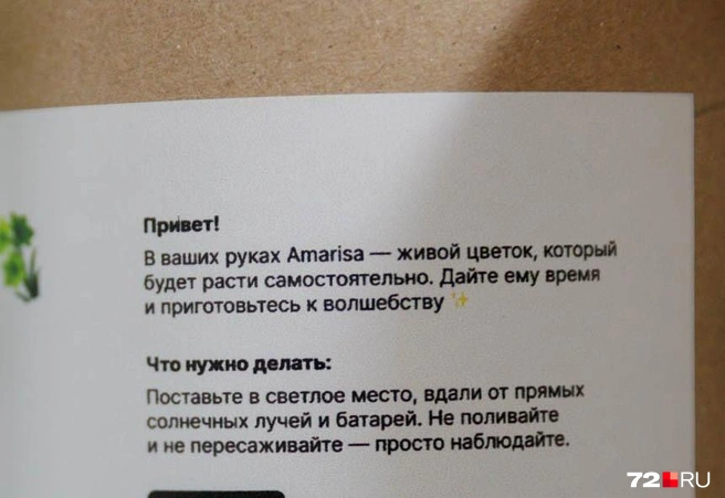 Простое и понятное руководство к действию. Кстати, чем выше температура воздуха, тем быстрее растут и распускаются бутоны, так и знайте | Источник: Ирина Шарова / 72.RU 