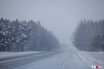 Расширение трассы под Тюменью приостановили