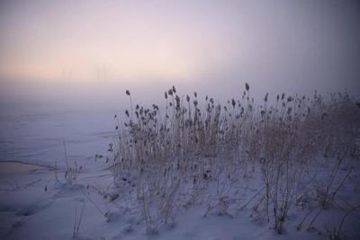 Анисьин день: почему 12 января нельзя просить о потеплении