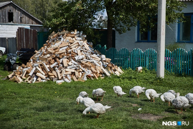 Семья Лосевых по сельским меркам не была нуждающейся | Источник: Александр Ощепков / NGS.ru