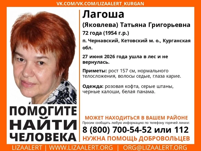 Источник: Поисковый отряд «ЛизаАлерт» Курганской области /vk.com