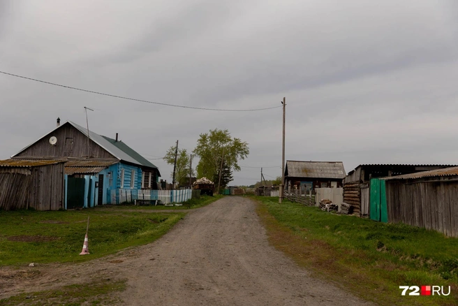 Малые Ярки живут обычно&nbsp;— в деревне спокойно | Источник: Ирина Шарова 