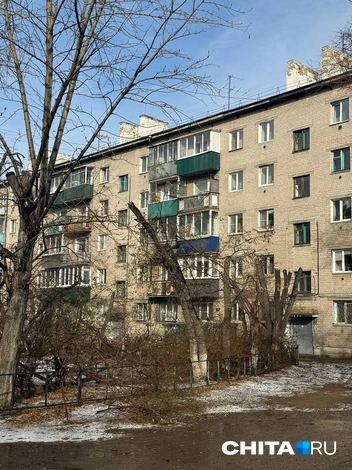 Непонятно, кому помешали деревья | Источник: очевидец