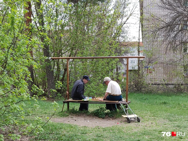 Эти клубы шахматистов вышли как будто из советского прошлого. Но почему мужчинам приходится сидеть на старой выбивалке для ковров? | Источник: Евгений Ковалёв
