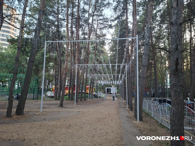 Источник: Алена Воропаева / Voronezh1.ru