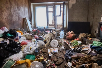 ‘We Need to Save Yuri’: Elderly Man and 16 Cats Perish in Filthy Samara Apartment