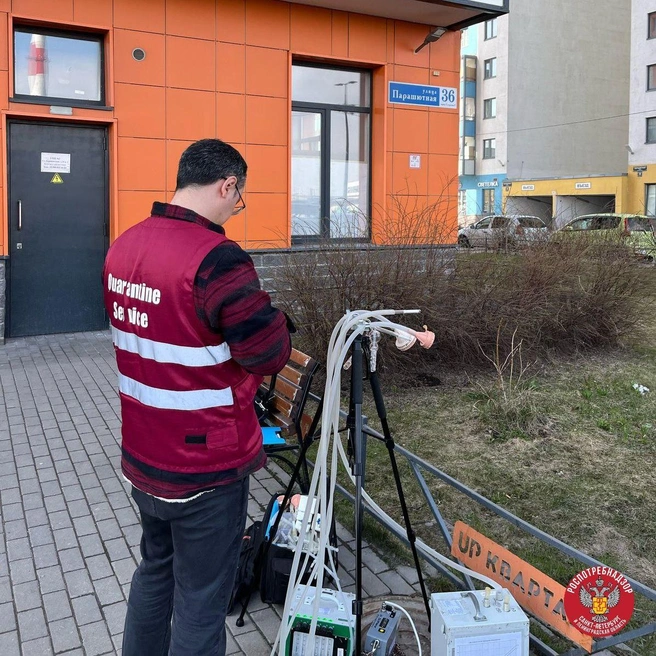 Источник: Роспотребнадзор Санкт-Петербурга и Ленинградской области / Telegram