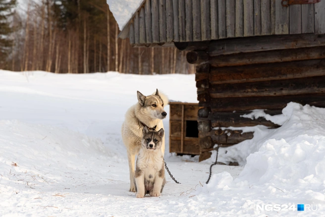 Семейное фото  | Источник: Мария Ленц / NGS24.RU