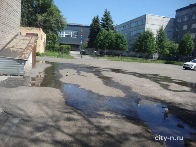 Источник: www.city-n.ru