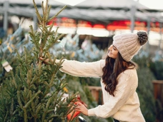 Как выгодно купить живую елку в 2025 году? Экспертные рекомендации