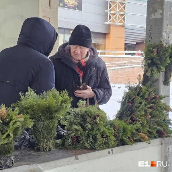 Источник: Даниил Румянцев / E1.RU