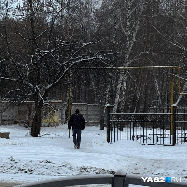 Спортсменам остается пожать руку — чтобы встать в 9 утра и пойти на пробежку в снег и мороз, нужна сила воли! | Источник: Виктория Улитова / YA62.RU