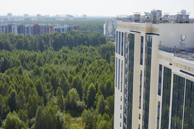 Источник: СЗ «Сириус»