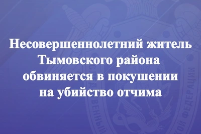 Несовершеннолетний обвиняется в покушении на убийство отчима на Сахалине
