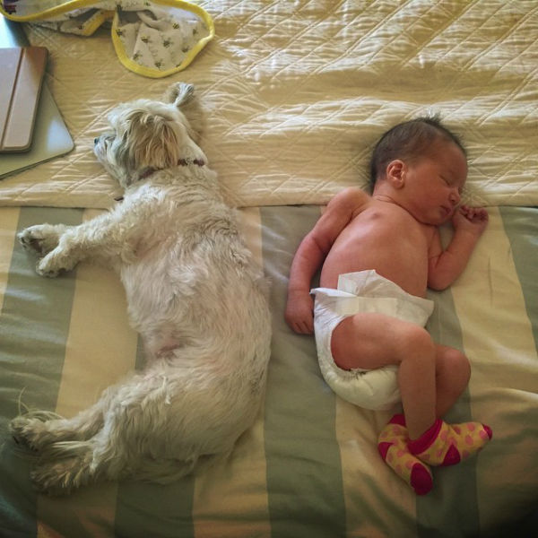 Новорожденная дочь Миллы Йовович спит с собакой