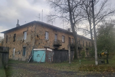 Десятилетняя девочка погибла от удара током в Скопинском округе