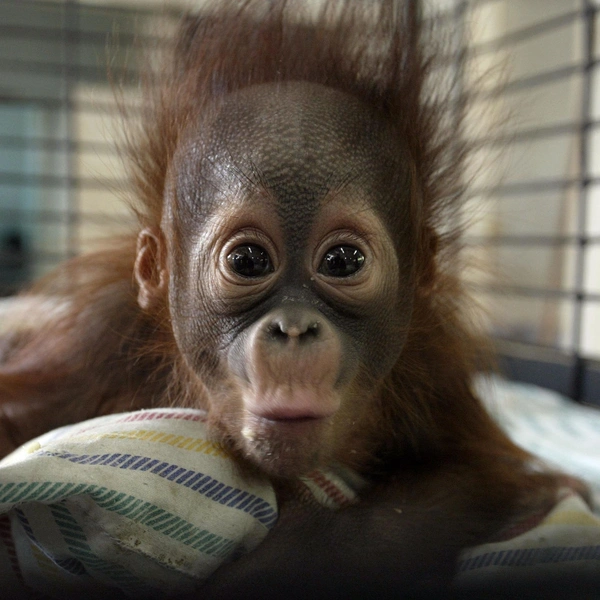 Источник: Соцсети