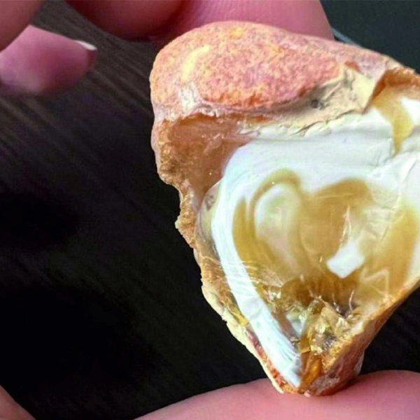 Источник: Светлана Юрченко / пресс-служба АО «Калининградский янтарный комбинат»