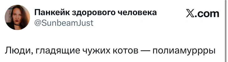 Источник: X (Twitter)