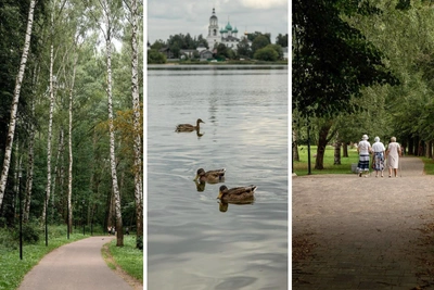 Павловский парк в Ярославле: фото после скандального благоустройства