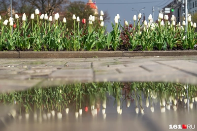 Погода 17 апреля: дожди и тепло на Дону