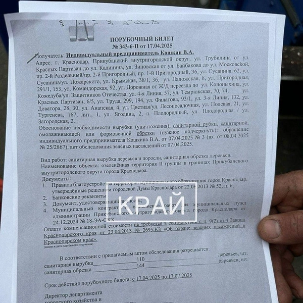 Источник: Край / T.me
