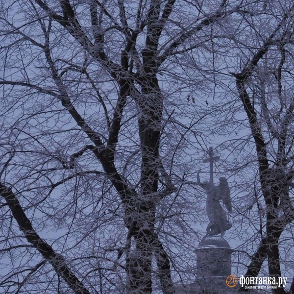 Источник: Михаил Огнев / «Фонтанка.ру»