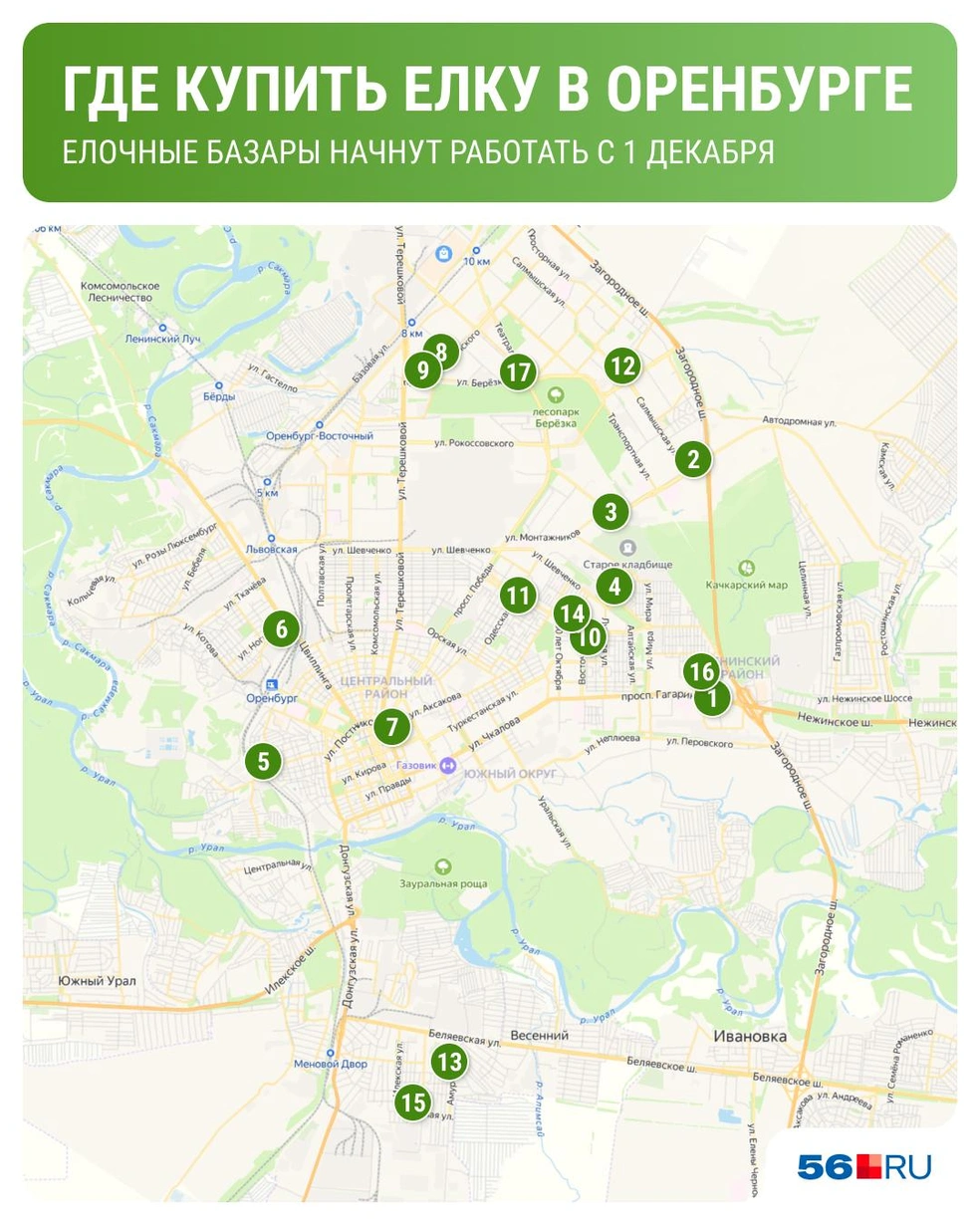 Отметили елочные базары на карте | Источник: Юрий Скулыбердин / Городские медиа