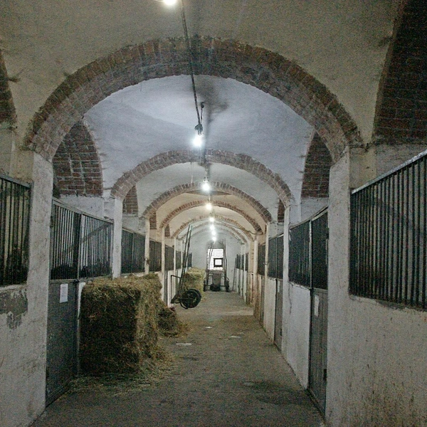 Источник: Александр Зинченко / Voronezh1.ru