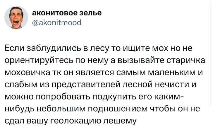 Источник: X (Twitter)