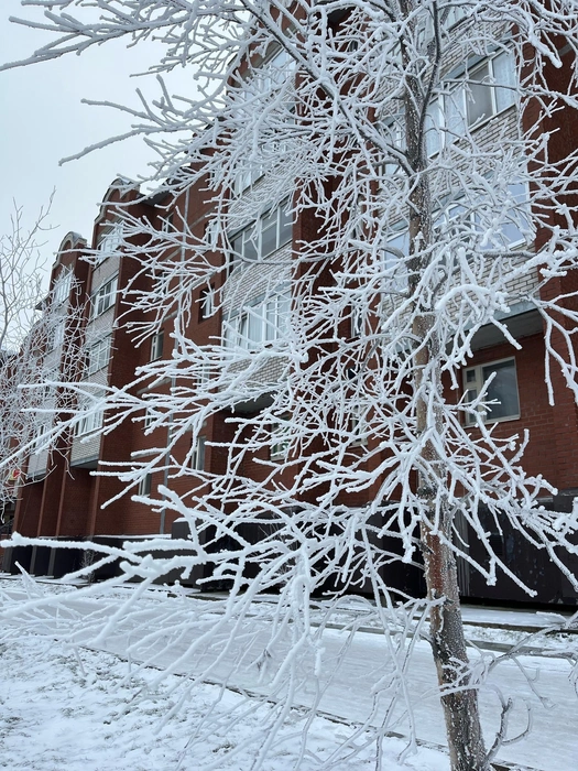 Этот кадр был сделан прошлой осенью. Еще не закончился октябрь, а в Салехард уже пришла зима | Источник: героиня материала