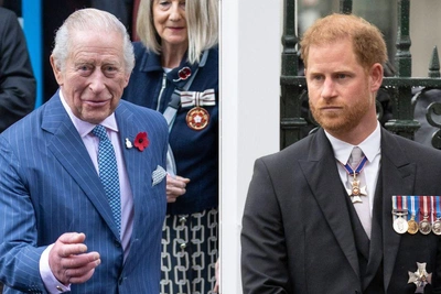 Просьба принца Гарри о встрече с королём отклонена: две причины