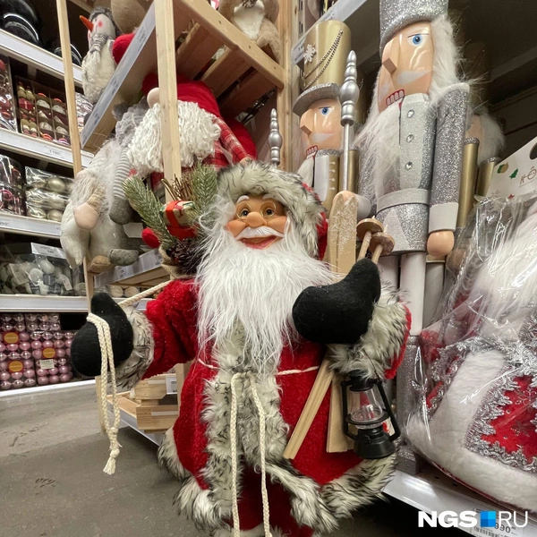 Вот такой представитель северных земель   | Источник: Алёна Золотухина / NGS.RU