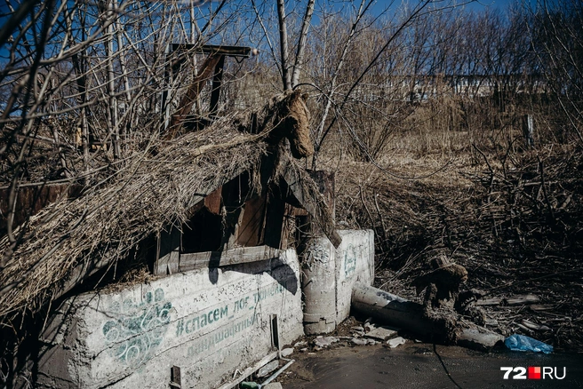 Лог реки Тюменки, где хотели, но не стали строить студенческий кампус, давно требует преображения. И в обозримой перспективе это может произойти | Источник: Ирина Шарова / 72.RU