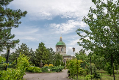 Власти ищут виновных в рубке деревьев у церкви Сурб-Хач