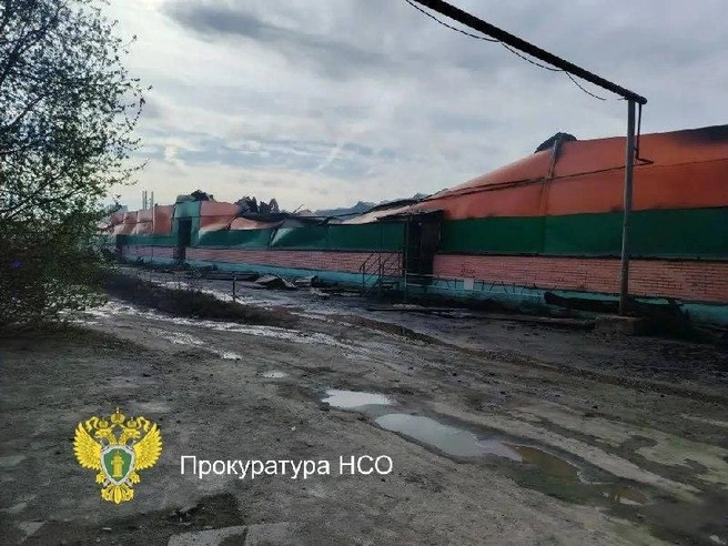 В ходе проверки будет дана оценка соблюдению мер пожарной безопасности | Источник: Прокуратура Новосибирской области