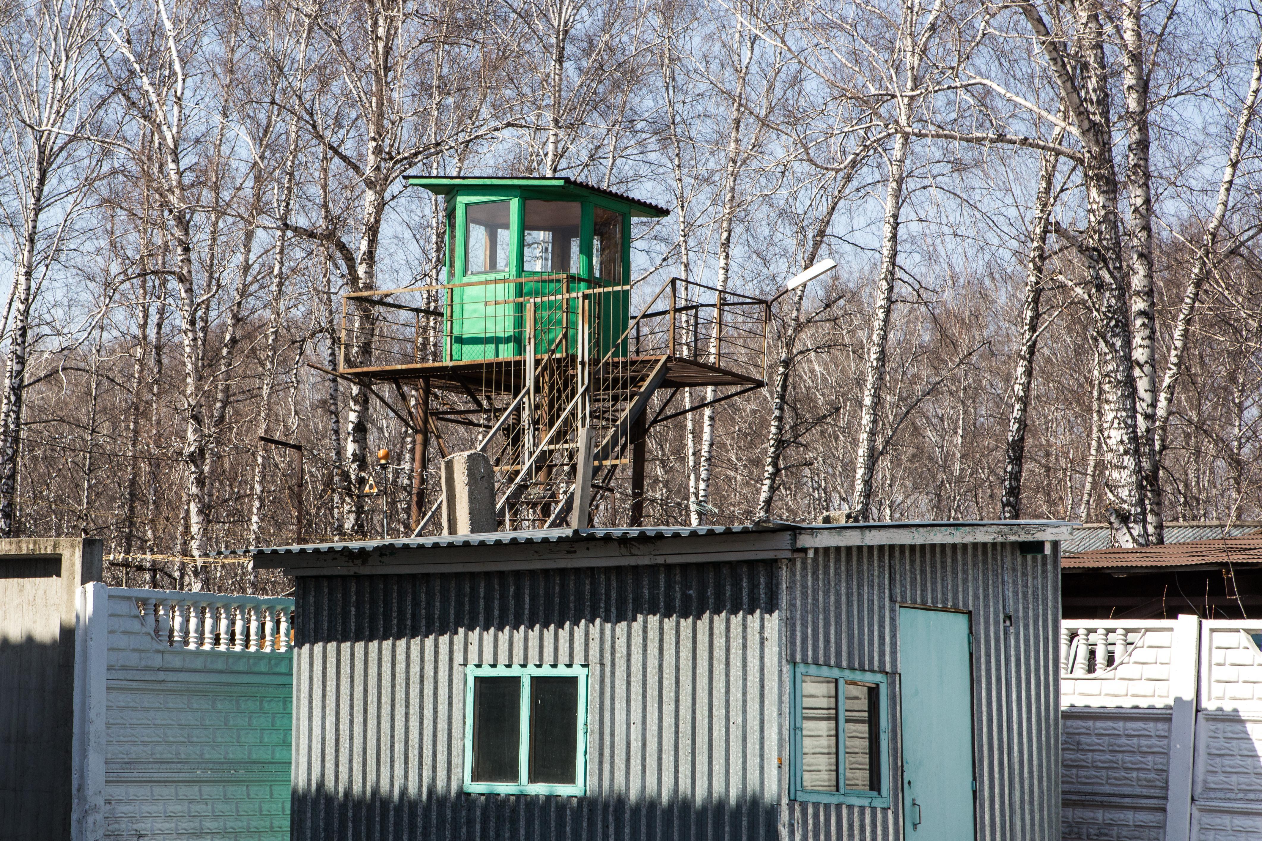 Под Волгоградом уроженец Армении получил девять лет колонии за убийство супруги железным табуретом 