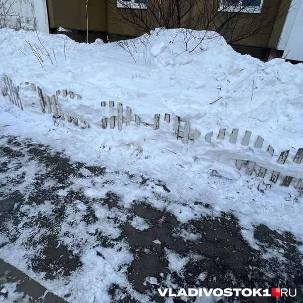 Источник: Елена Буйвол / VLADIVOSTOK1.RU