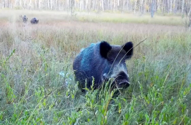 Порно орыс аналар спермы ішіндегі