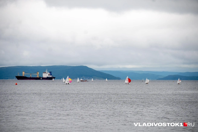Источник: Елена Буйвол / VLADIVOSTOK1.RU