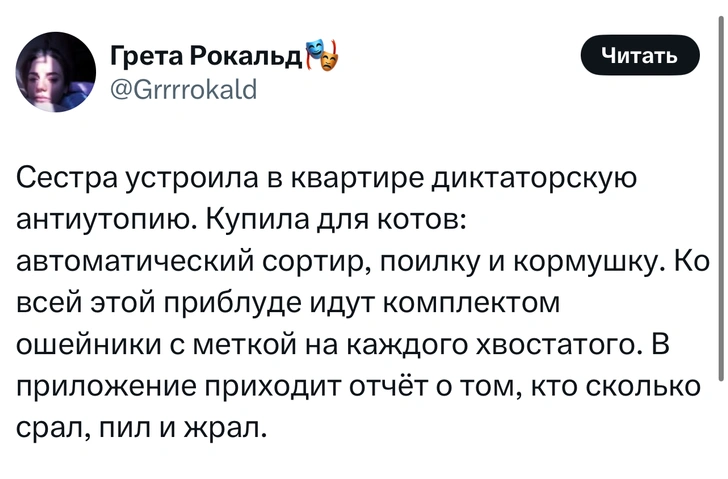 Источник: X (Twitter)