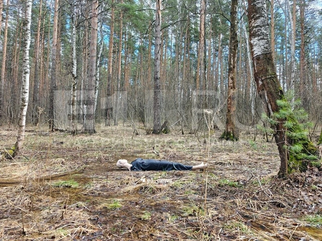 Все оказалось не так страшно | Источник: Кирилл Кушнов / E1.RU