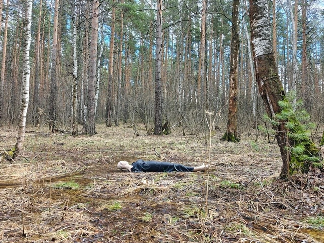 Это всего лишь кукла | Источник: Кирилл Кушнов / E1.RU