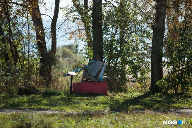 Местами парк выглядит дико  | Источник: Андрей Бортко / NGS.RU 