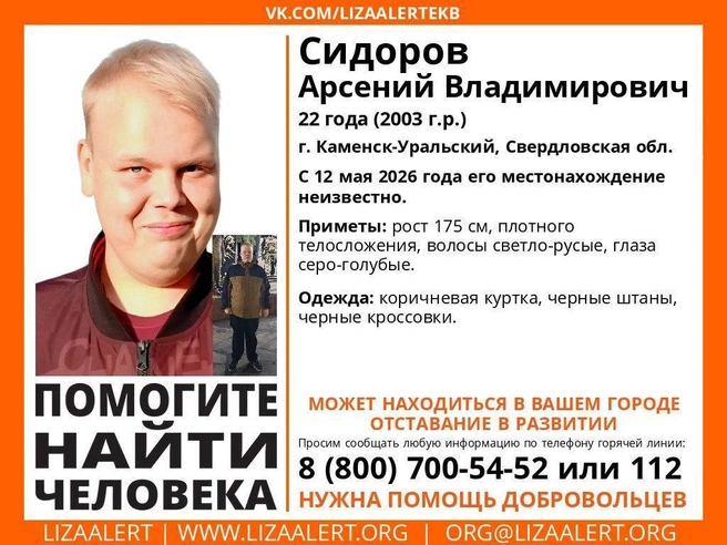 Поиски завершены, Арсений Сидоров найден живым | Источник: «ЛизаАлерт»