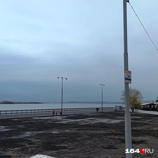 Источник: Сергей Гендин / 164.RU