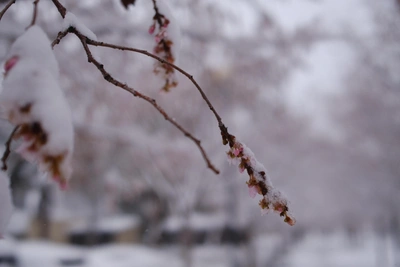 Krasnodar to see 10°C temperature drop this weekend