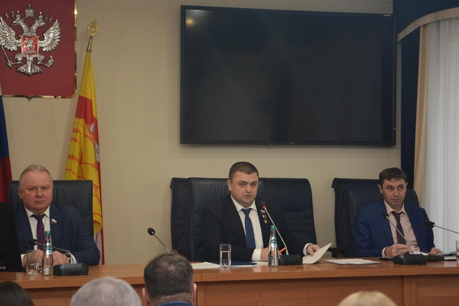 Большую часть средств направят на сферу образования | Источник: Воронежская городская дума / gorduma-voronezh.ru