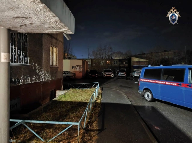 Мальчику повезло, что его заметил прохожий | Источник: Челябинский Следком / t.me