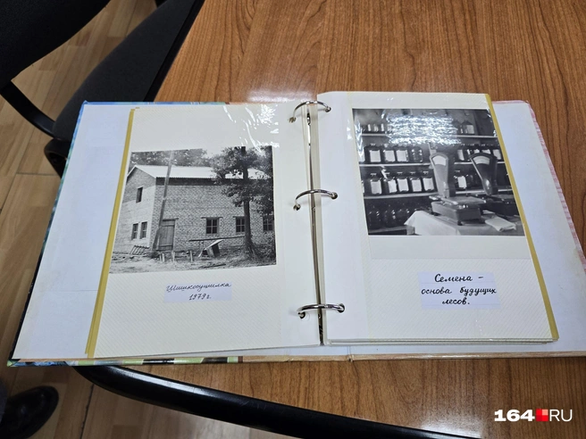 Исторические фото объекта нашего интереса | Источник: Семен Коротов-Майбах / 164.RU